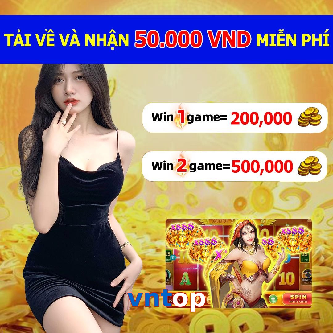 vntop